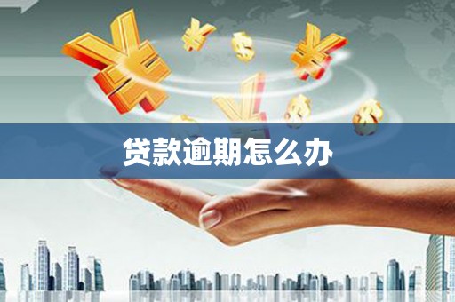 高密贷款逾期怎么办