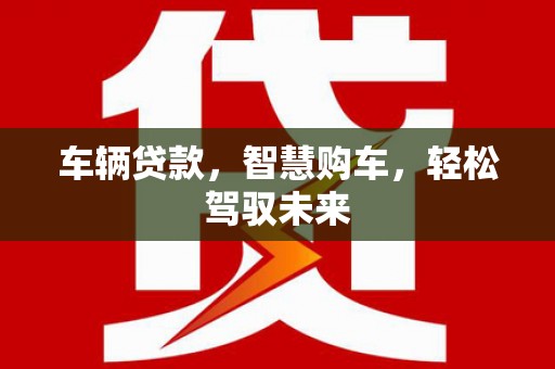 民丰车辆贷款，智慧购车，轻松驾驭未来