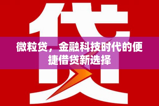 鹤山微粒贷，金融科技时代的便捷借贷新选择