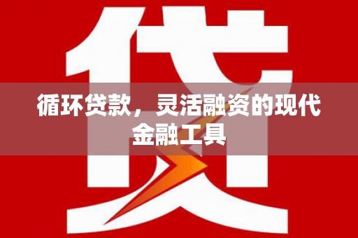 宁陕循环贷款，灵活融资的现代金融工具