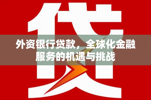 麦寮外资银行贷款，全球化金融服务的机遇与挑战
