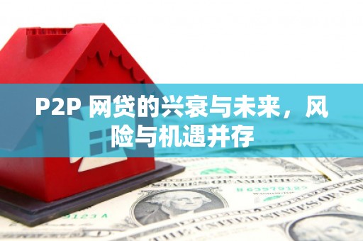 金东P2P 网贷的兴衰与未来，风险与机遇并存