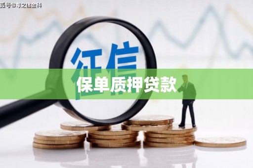 黄南保单质押贷款