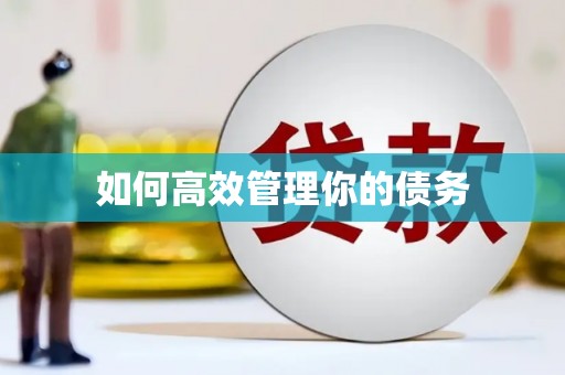 留坝如何高效管理你的债务