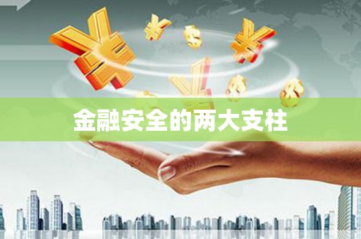 泸水金融安全的两大支柱