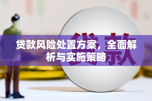 沧源贷款风险处置方案，全面解析与实施策略