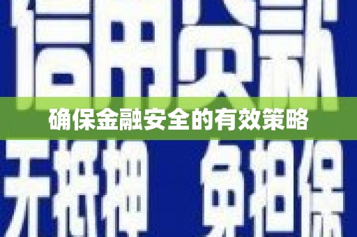 怀来确保金融安全的有效策略