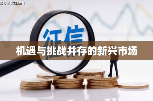 盖州机遇与挑战并存的新兴市场