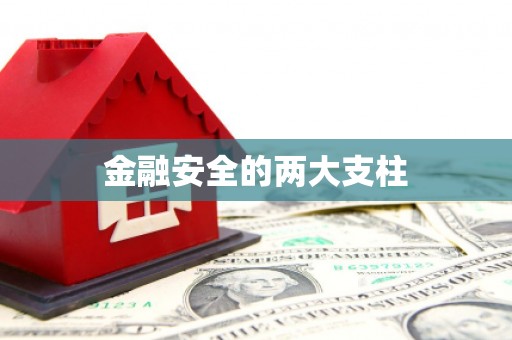 京口金融安全的两大支柱