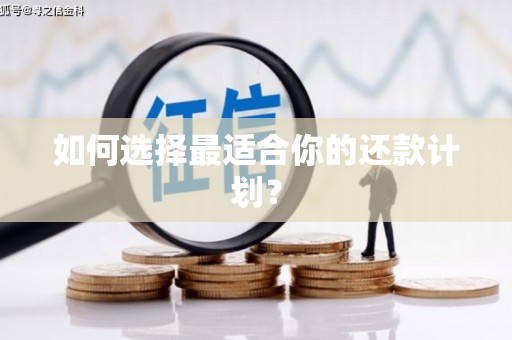 巴塘如何选择最适合你的还款计划？