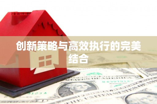 聂荣创新策略与高效执行的完美结合