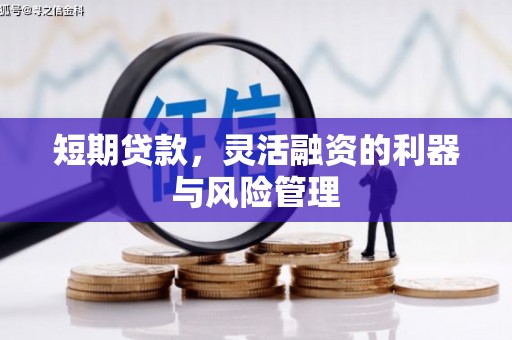 澧县短期贷款，灵活融资的利器与风险管理