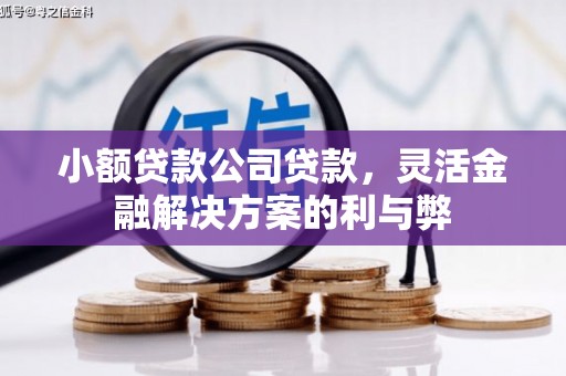安图小额贷款公司贷款，灵活金融解决方案的利与弊